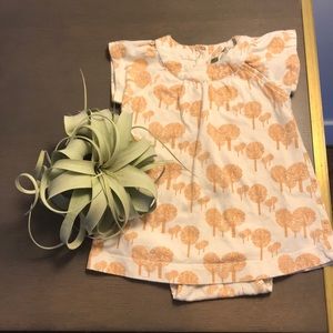 Organic Kate Q. summer dress w/ built in onesie.